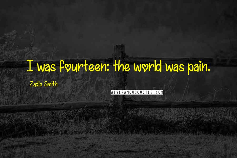 Zadie Smith Quotes: I was fourteen: the world was pain.