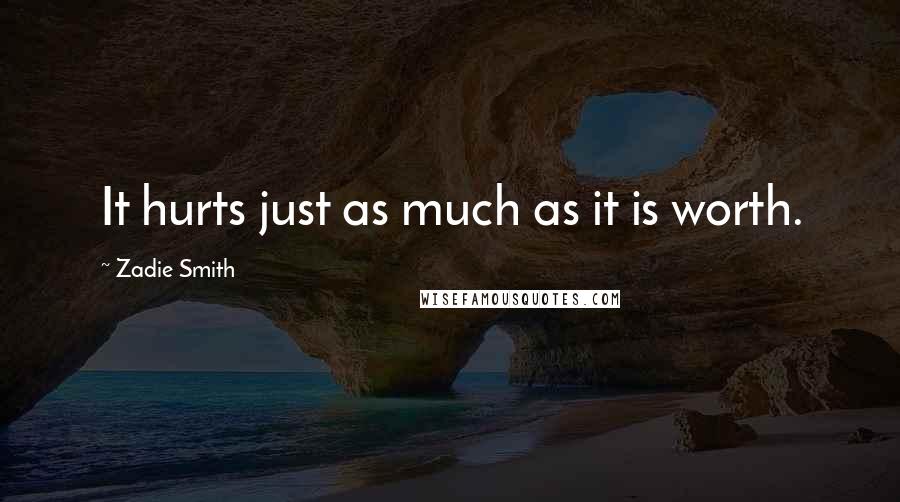 Zadie Smith Quotes: It hurts just as much as it is worth.