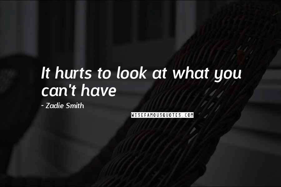 Zadie Smith Quotes: It hurts to look at what you can't have