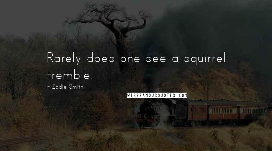 Zadie Smith Quotes: Rarely does one see a squirrel tremble.