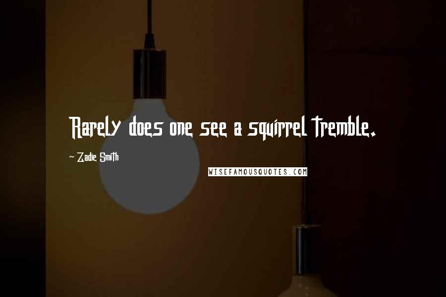Zadie Smith Quotes: Rarely does one see a squirrel tremble.