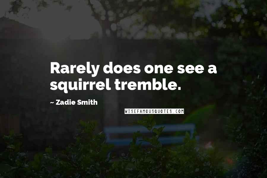 Zadie Smith Quotes: Rarely does one see a squirrel tremble.