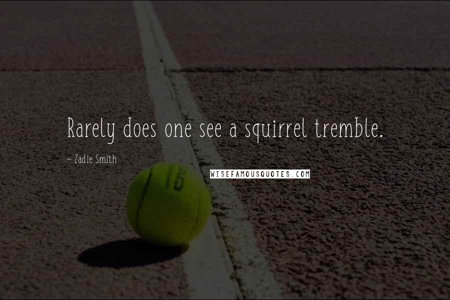 Zadie Smith Quotes: Rarely does one see a squirrel tremble.