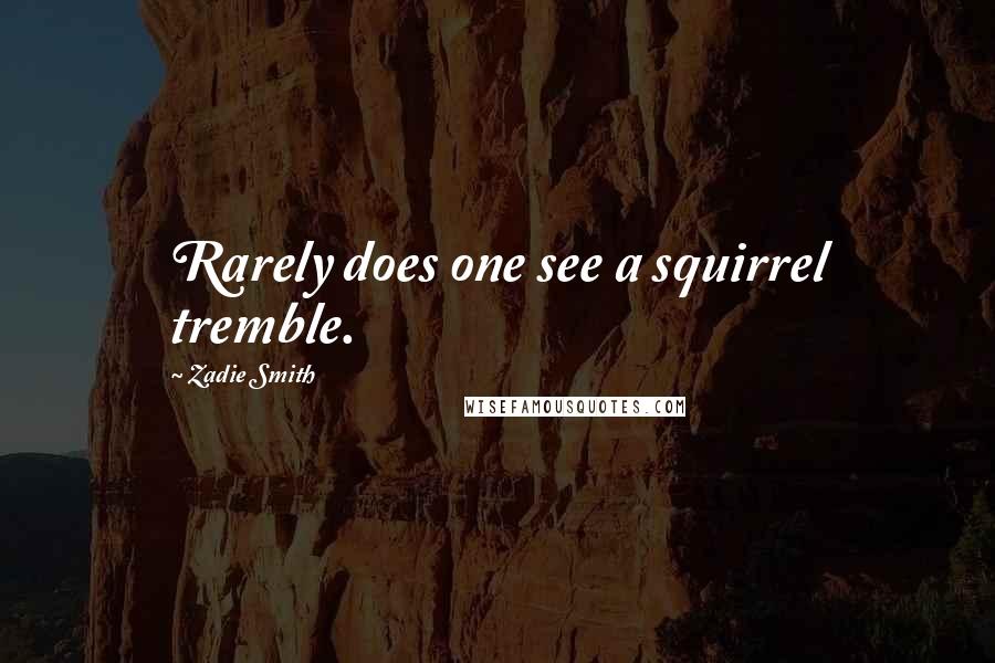 Zadie Smith Quotes: Rarely does one see a squirrel tremble.