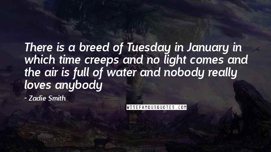 Zadie Smith Quotes: There is a breed of Tuesday in January in which time creeps and no light comes and the air is full of water and nobody really loves anybody