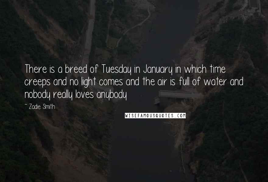 Zadie Smith Quotes: There is a breed of Tuesday in January in which time creeps and no light comes and the air is full of water and nobody really loves anybody