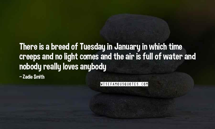 Zadie Smith Quotes: There is a breed of Tuesday in January in which time creeps and no light comes and the air is full of water and nobody really loves anybody