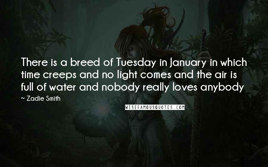 Zadie Smith Quotes: There is a breed of Tuesday in January in which time creeps and no light comes and the air is full of water and nobody really loves anybody