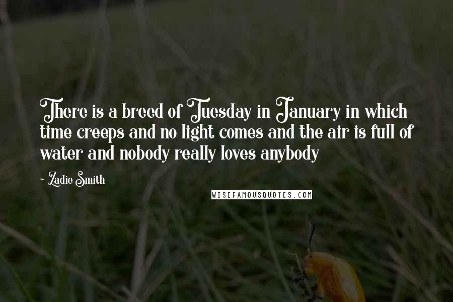 Zadie Smith Quotes: There is a breed of Tuesday in January in which time creeps and no light comes and the air is full of water and nobody really loves anybody