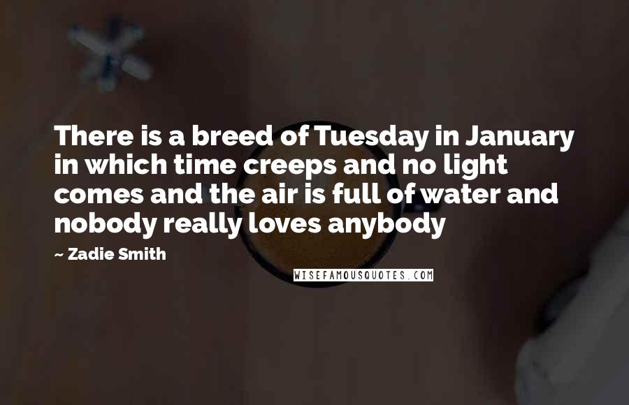 Zadie Smith Quotes: There is a breed of Tuesday in January in which time creeps and no light comes and the air is full of water and nobody really loves anybody