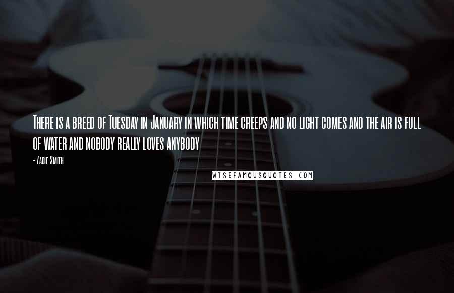 Zadie Smith Quotes: There is a breed of Tuesday in January in which time creeps and no light comes and the air is full of water and nobody really loves anybody