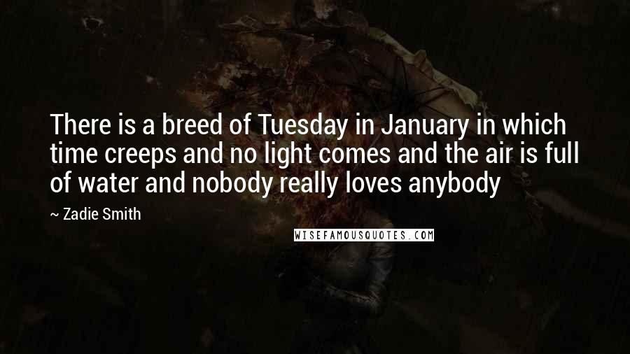 Zadie Smith Quotes: There is a breed of Tuesday in January in which time creeps and no light comes and the air is full of water and nobody really loves anybody