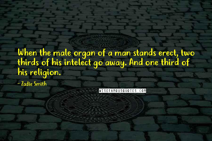 Zadie Smith Quotes: When the male organ of a man stands erect, two thirds of his intelect go away. And one third of his religion.