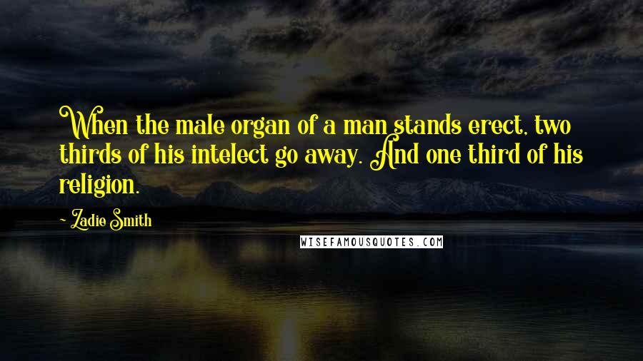 Zadie Smith Quotes: When the male organ of a man stands erect, two thirds of his intelect go away. And one third of his religion.