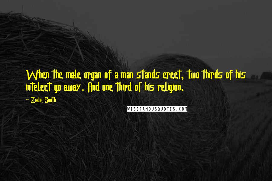 Zadie Smith Quotes: When the male organ of a man stands erect, two thirds of his intelect go away. And one third of his religion.
