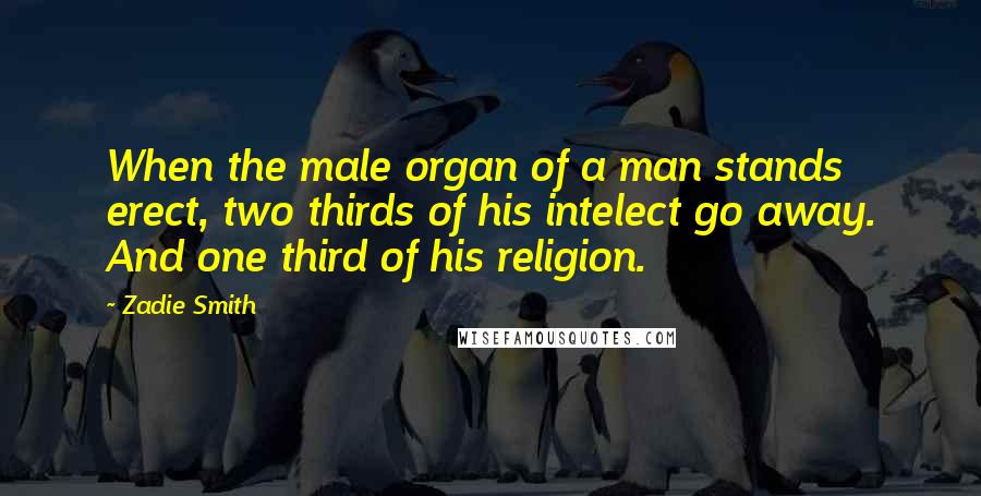 Zadie Smith Quotes: When the male organ of a man stands erect, two thirds of his intelect go away. And one third of his religion.
