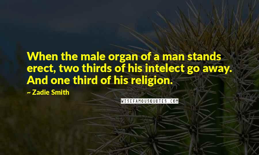 Zadie Smith Quotes: When the male organ of a man stands erect, two thirds of his intelect go away. And one third of his religion.