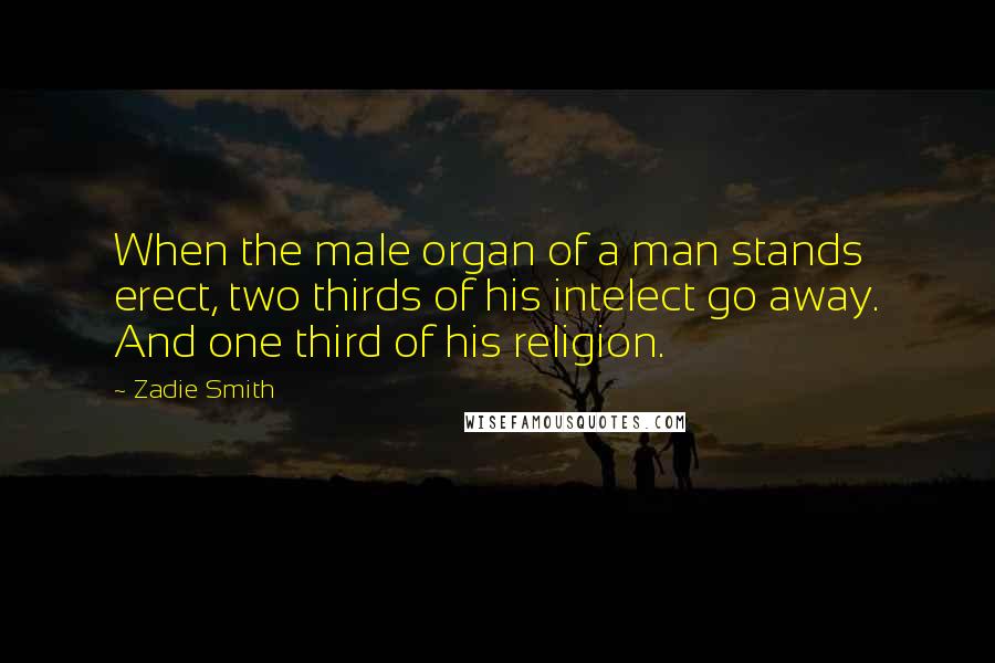 Zadie Smith Quotes: When the male organ of a man stands erect, two thirds of his intelect go away. And one third of his religion.