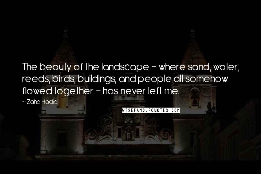 Zaha Hadid Quotes: The beauty of the landscape - where sand, water, reeds, birds, buildings, and people all somehow flowed together - has never left me.