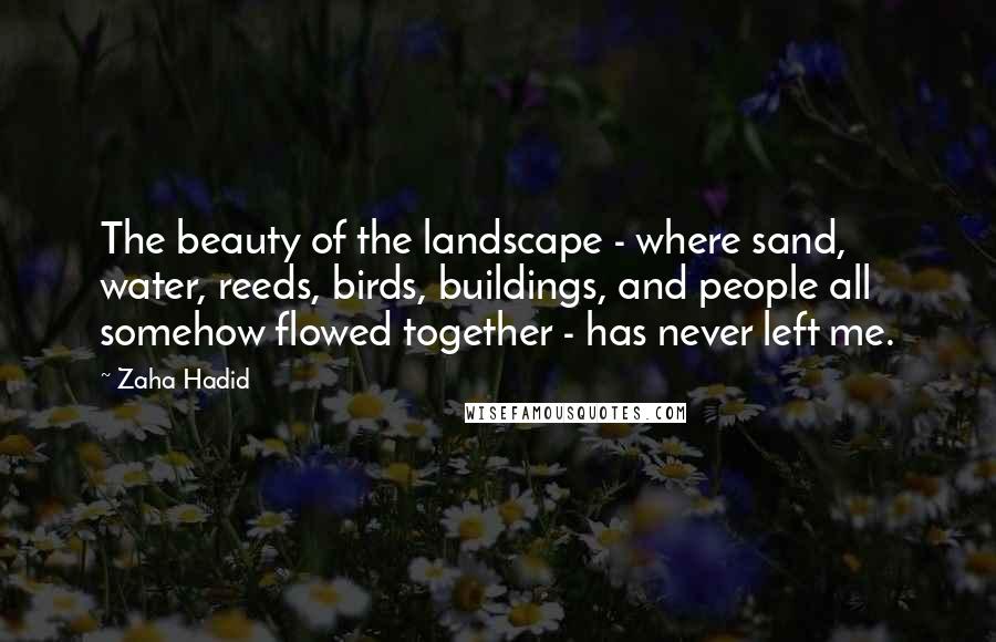 Zaha Hadid Quotes: The beauty of the landscape - where sand, water, reeds, birds, buildings, and people all somehow flowed together - has never left me.