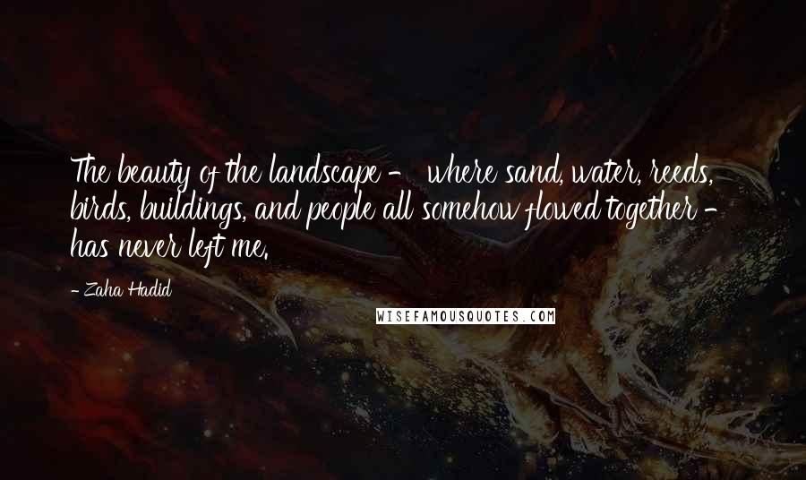 Zaha Hadid Quotes: The beauty of the landscape - where sand, water, reeds, birds, buildings, and people all somehow flowed together - has never left me.