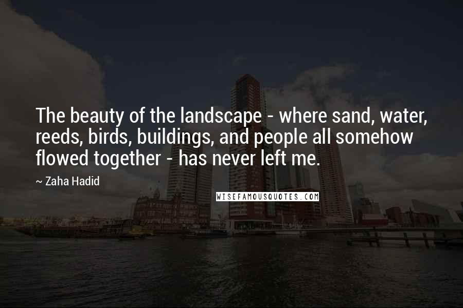 Zaha Hadid Quotes: The beauty of the landscape - where sand, water, reeds, birds, buildings, and people all somehow flowed together - has never left me.