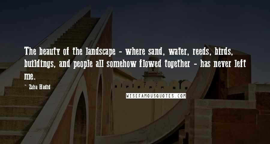 Zaha Hadid Quotes: The beauty of the landscape - where sand, water, reeds, birds, buildings, and people all somehow flowed together - has never left me.