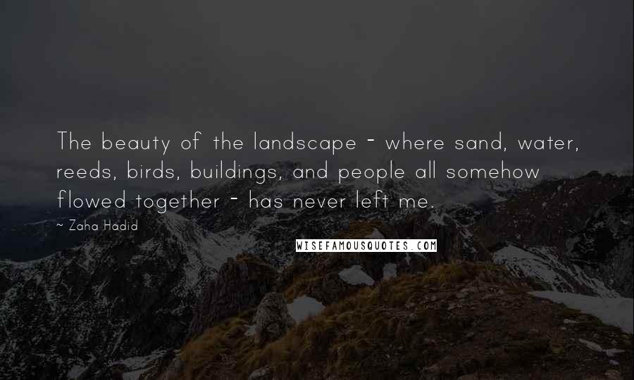 Zaha Hadid Quotes: The beauty of the landscape - where sand, water, reeds, birds, buildings, and people all somehow flowed together - has never left me.