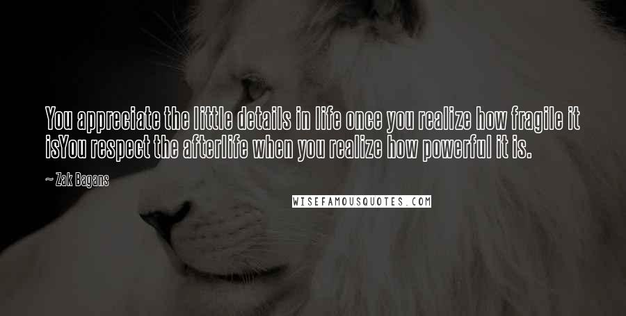 Zak Bagans Quotes: You appreciate the little details in life once you realize how fragile it isYou respect the afterlife when you realize how powerful it is.