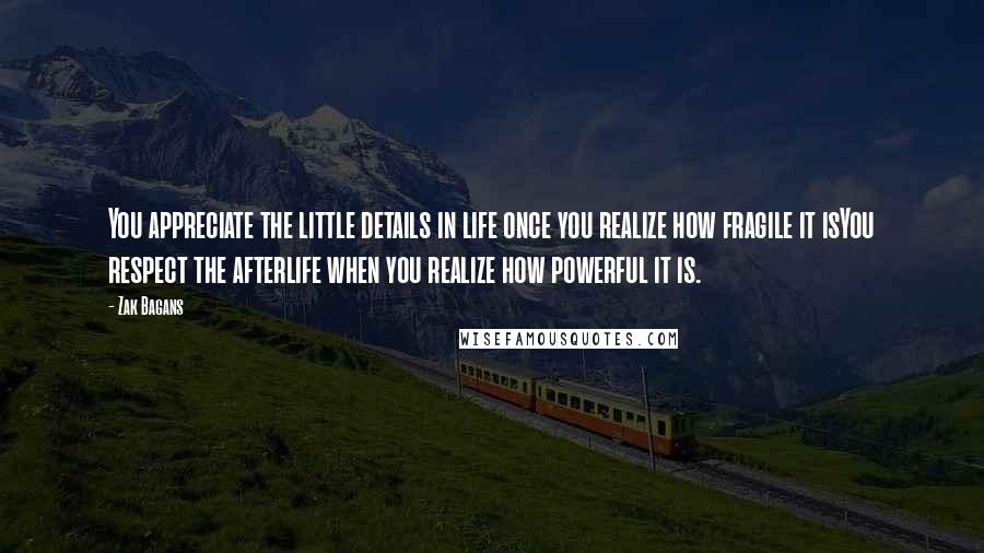 Zak Bagans Quotes: You appreciate the little details in life once you realize how fragile it isYou respect the afterlife when you realize how powerful it is.