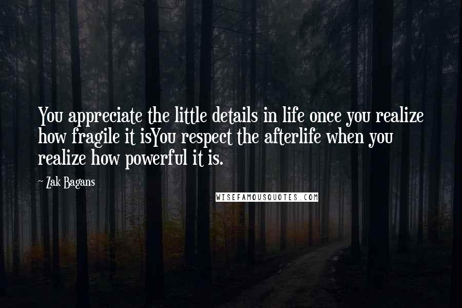 Zak Bagans Quotes: You appreciate the little details in life once you realize how fragile it isYou respect the afterlife when you realize how powerful it is.