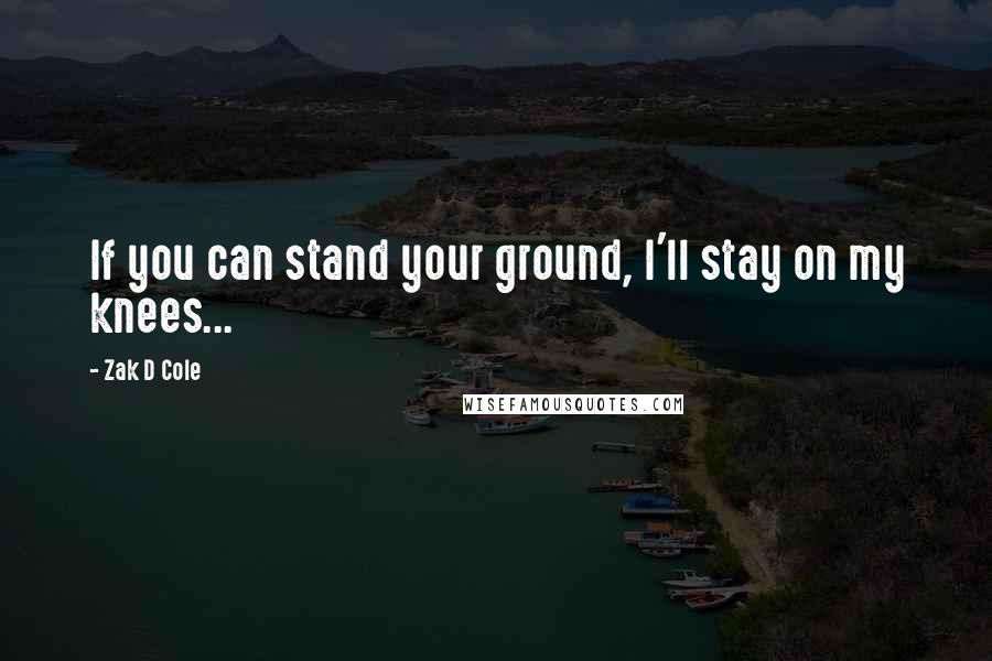 Zak D Cole Quotes: If you can stand your ground, I'll stay on my knees...