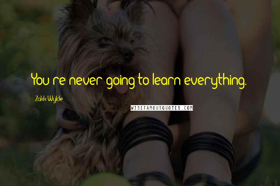 Zakk Wylde Quotes: You're never going to learn everything.