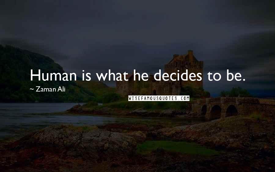 Zaman Ali Quotes: Human is what he decides to be.