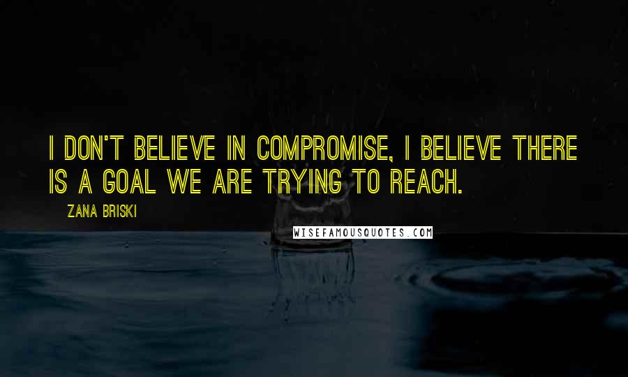 Zana Briski Quotes: I don't believe in compromise, I believe there is a goal we are trying to reach.