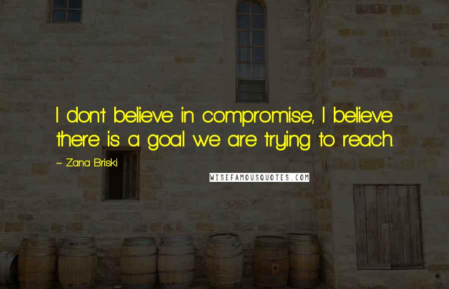 Zana Briski Quotes: I don't believe in compromise, I believe there is a goal we are trying to reach.