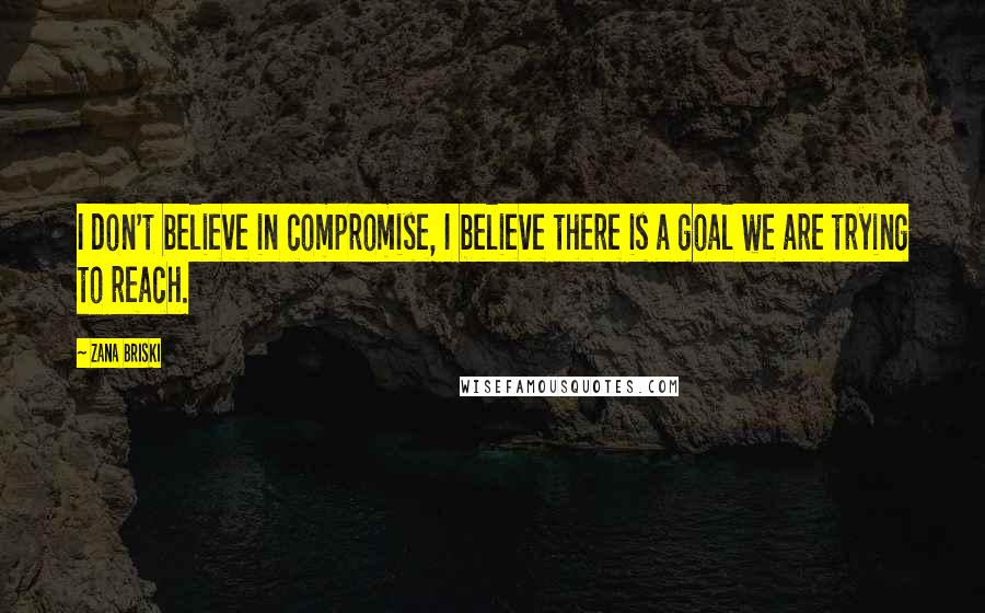 Zana Briski Quotes: I don't believe in compromise, I believe there is a goal we are trying to reach.