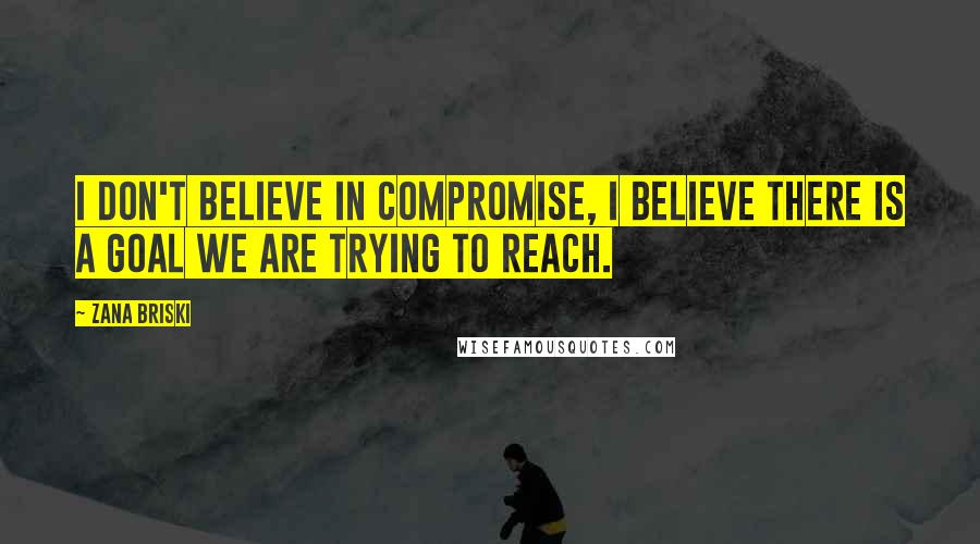 Zana Briski Quotes: I don't believe in compromise, I believe there is a goal we are trying to reach.
