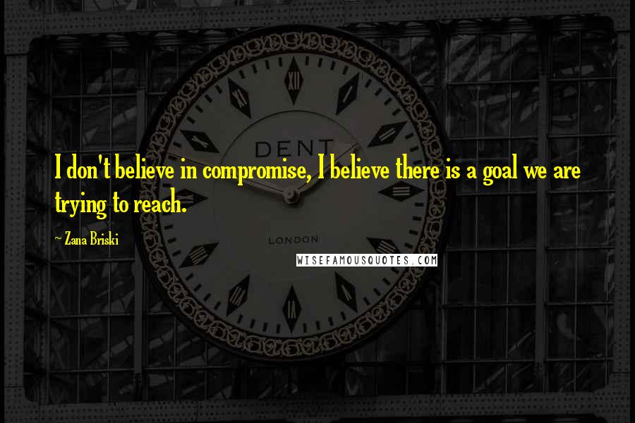 Zana Briski Quotes: I don't believe in compromise, I believe there is a goal we are trying to reach.