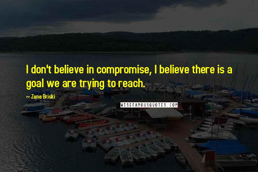 Zana Briski Quotes: I don't believe in compromise, I believe there is a goal we are trying to reach.