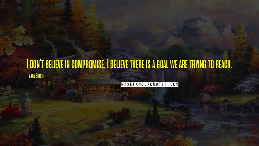 Zana Briski Quotes: I don't believe in compromise, I believe there is a goal we are trying to reach.