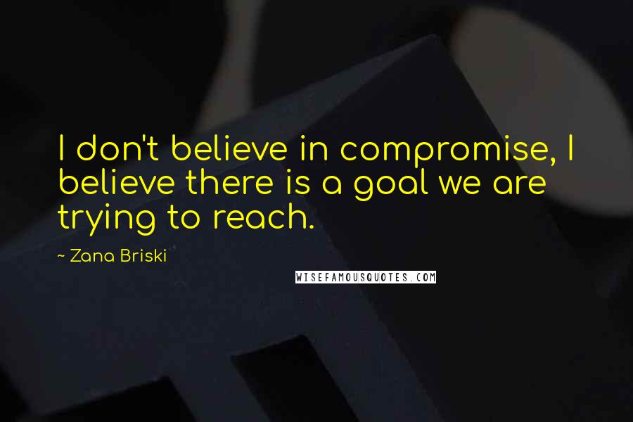 Zana Briski Quotes: I don't believe in compromise, I believe there is a goal we are trying to reach.