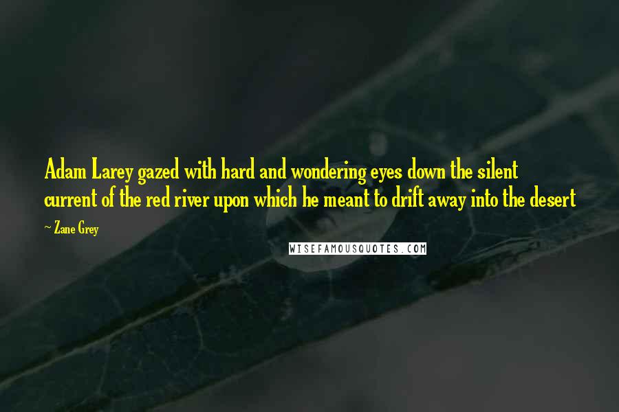 Zane Grey Quotes: Adam Larey gazed with hard and wondering eyes down the silent current of the red river upon which he meant to drift away into the desert