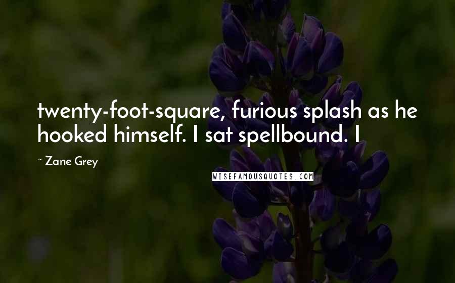 Zane Grey Quotes: twenty-foot-square, furious splash as he hooked himself. I sat spellbound. I