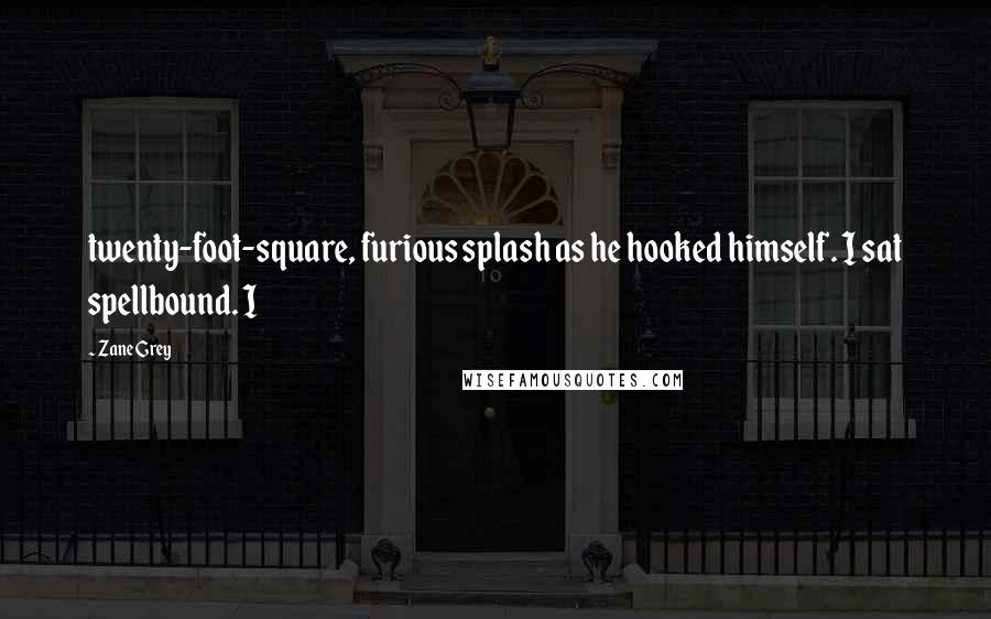 Zane Grey Quotes: twenty-foot-square, furious splash as he hooked himself. I sat spellbound. I