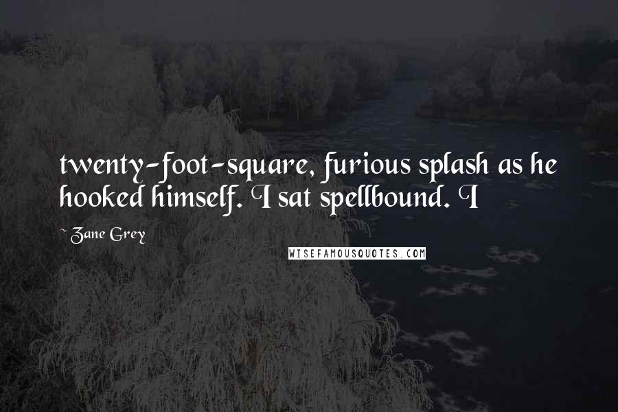 Zane Grey Quotes: twenty-foot-square, furious splash as he hooked himself. I sat spellbound. I