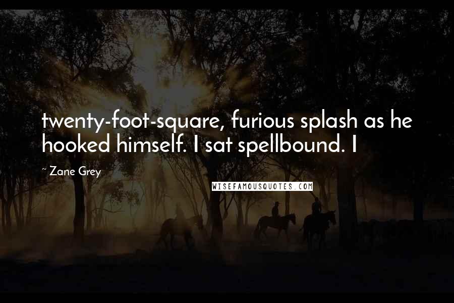 Zane Grey Quotes: twenty-foot-square, furious splash as he hooked himself. I sat spellbound. I