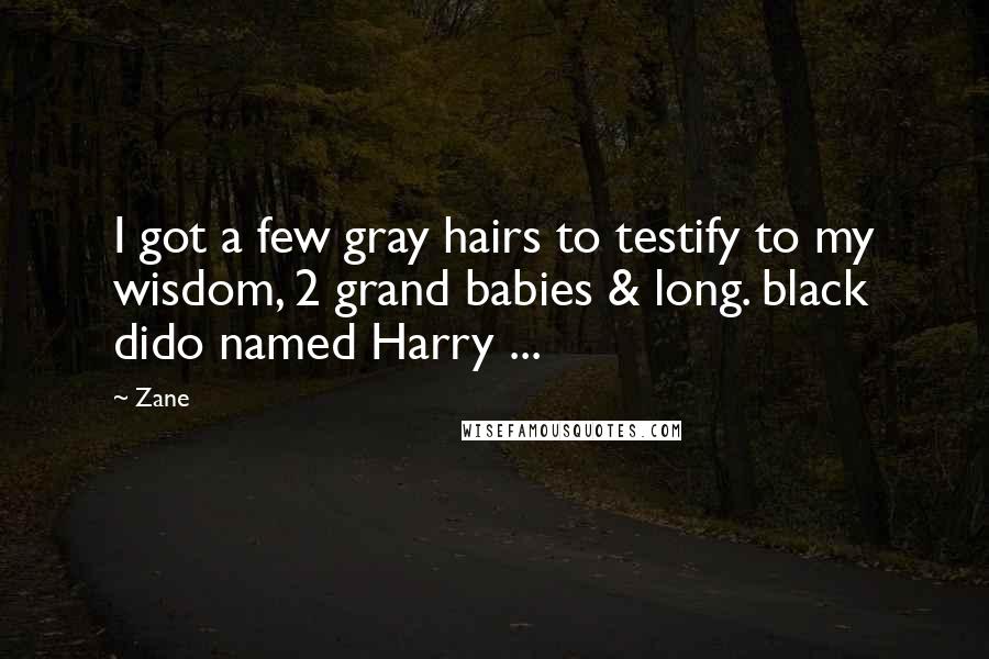 Zane Quotes: I got a few gray hairs to testify to my wisdom, 2 grand babies & long. black dido named Harry ...