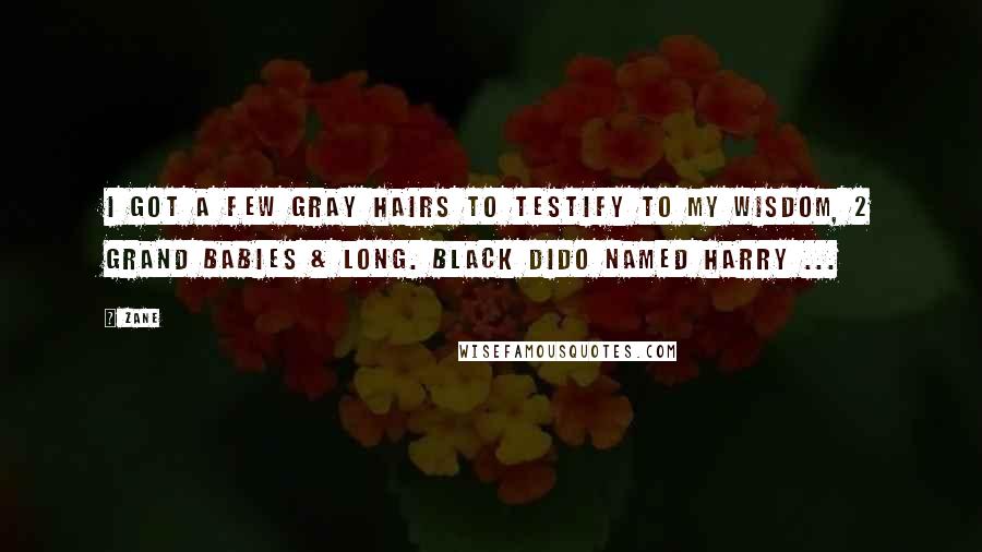 Zane Quotes: I got a few gray hairs to testify to my wisdom, 2 grand babies & long. black dido named Harry ...