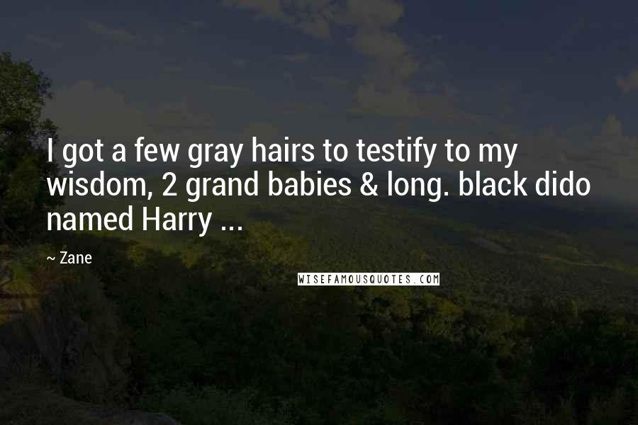 Zane Quotes: I got a few gray hairs to testify to my wisdom, 2 grand babies & long. black dido named Harry ...